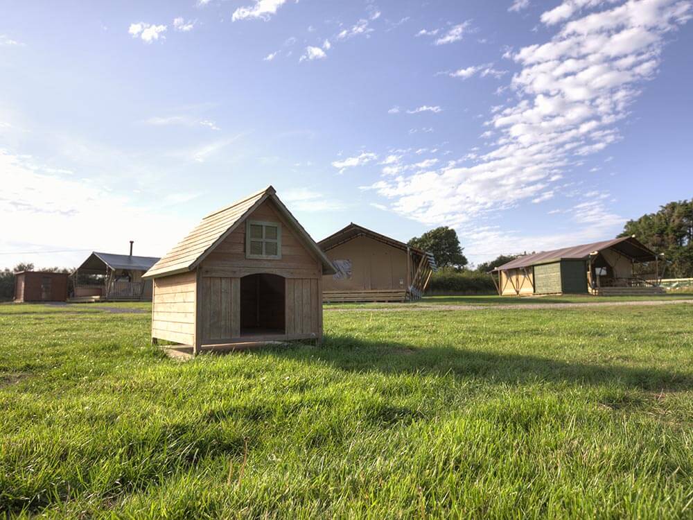 Safari Tents